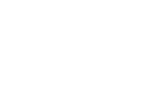 Berkshire Birds of Prey